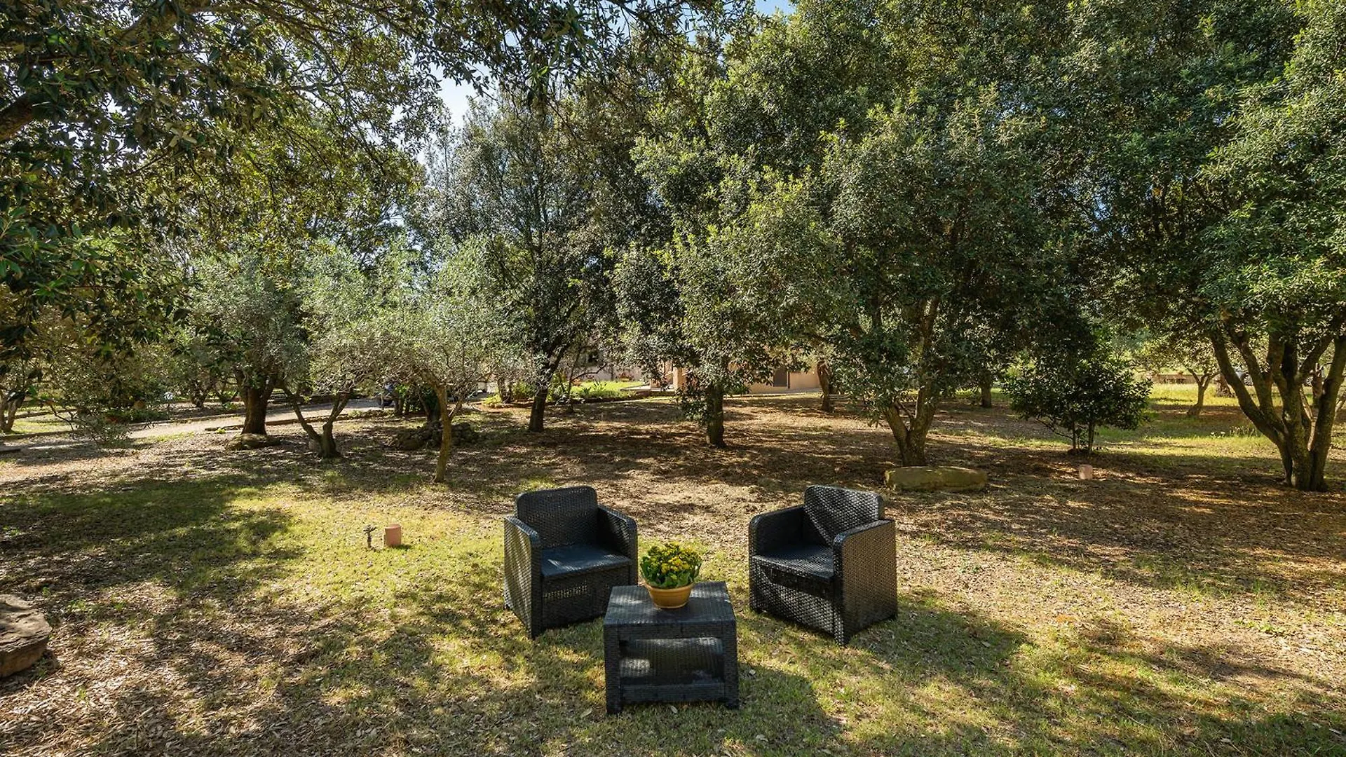 Residenza Parco Degli Ulivi Villa Villamassargia İtalya